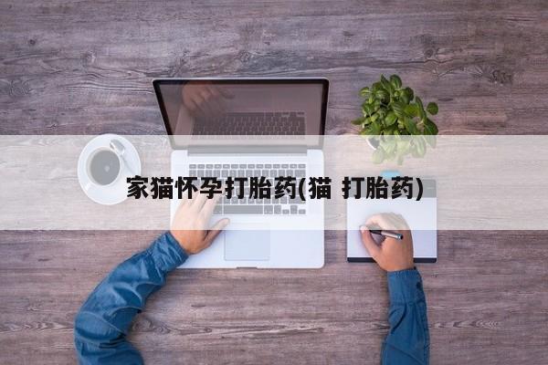 流产药货到付款家猫怀孕打胎药(猫 打胎药)